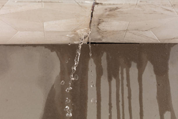Professional Sewage Cleanup technician working in Buffalo Creek, CO